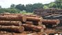 Three timber logging concessions in Vanua Levu cancelled 
