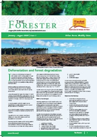 The Forester Jan - Aug | 2020