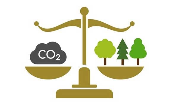 TLTB CLARIFIES REDD+ LEASE CONDITIONS & 5% CARBON BENEFIT SHARING